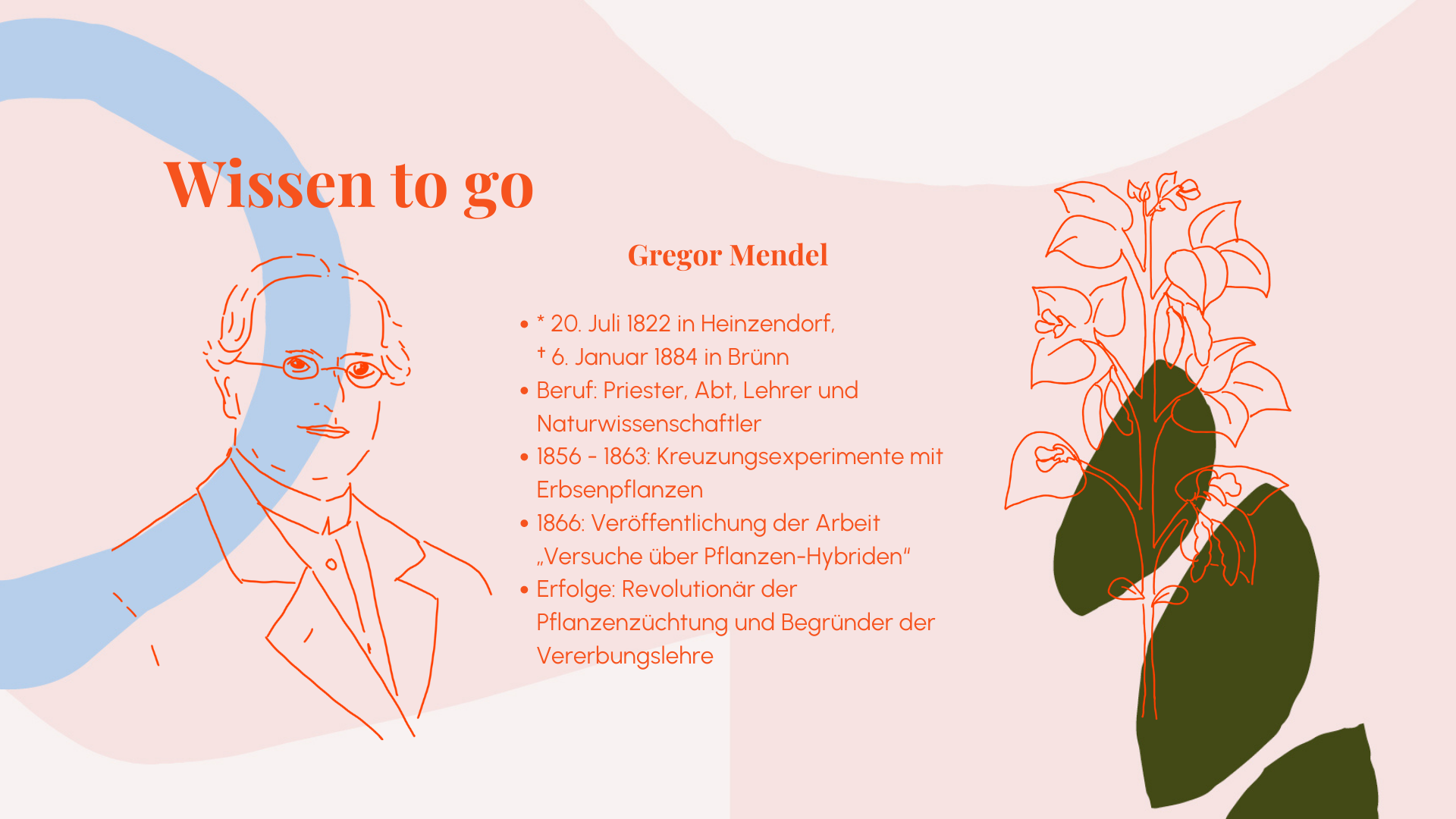 Klönstedt-Grafik mit Wissen to go über Gregor Mendel.