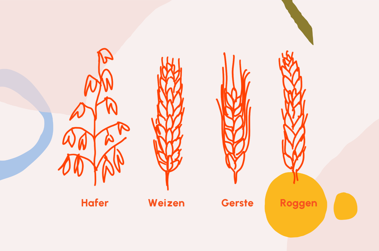 Klönstedt-Grafik verschiedener Getreidesorten