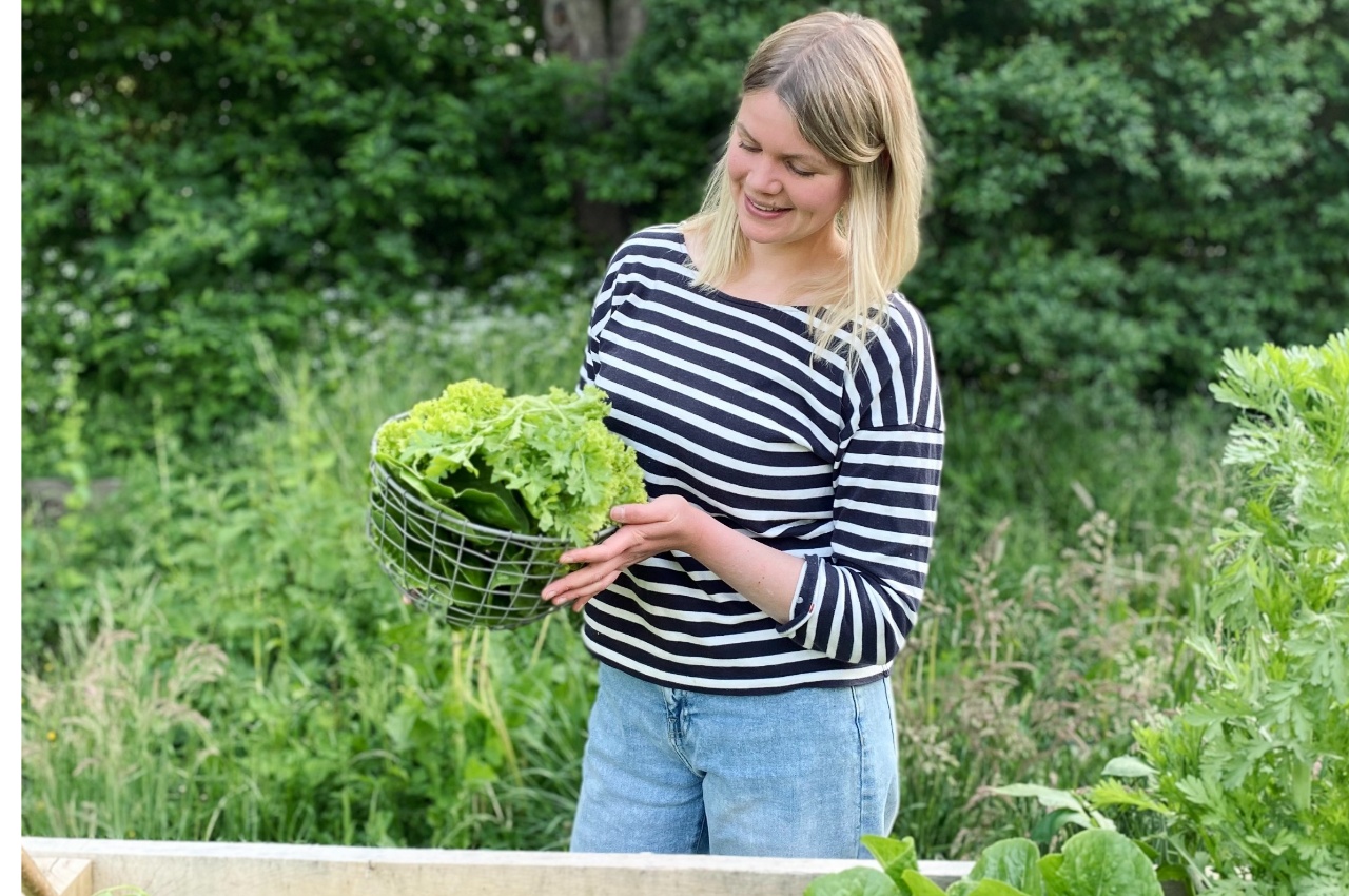 Person mit Salaternte am Hochbeet