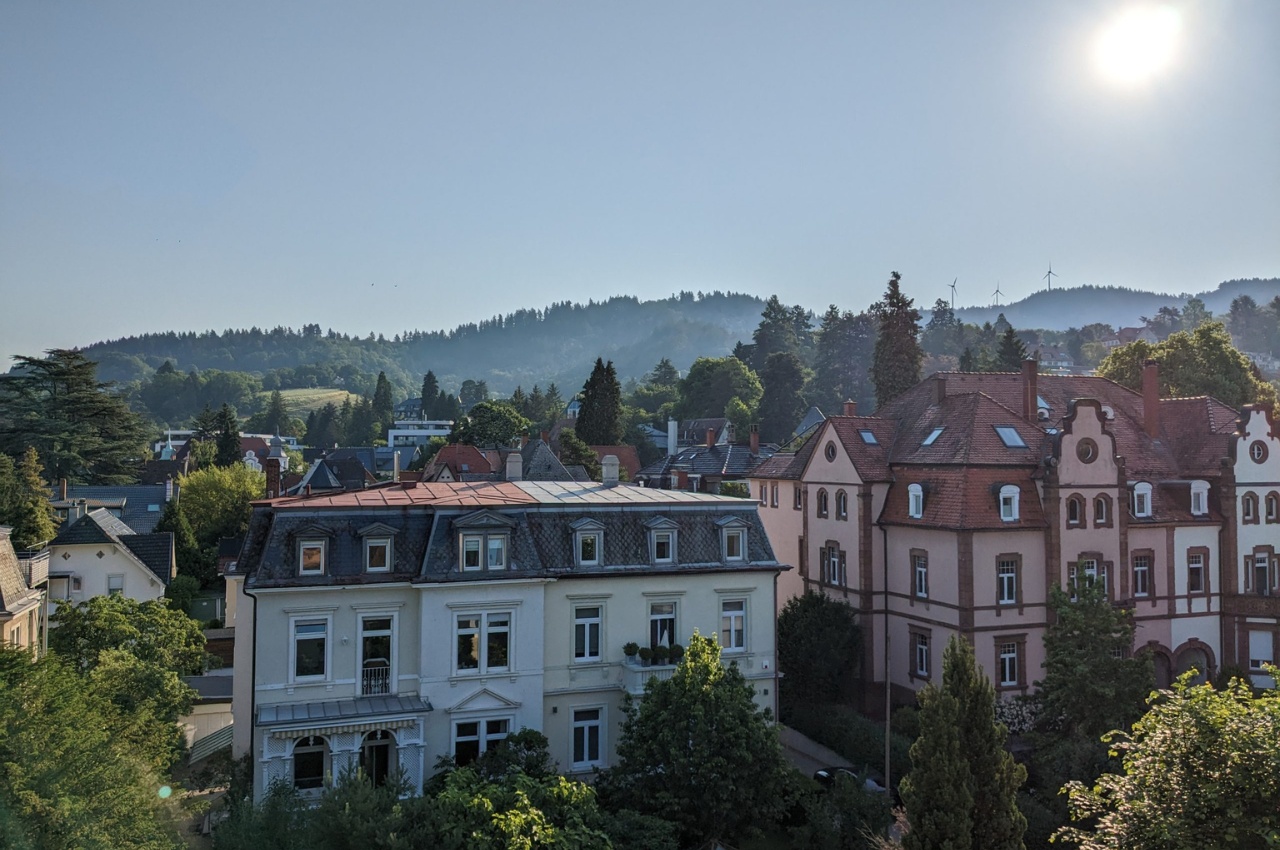 Ausblick auf Freiburg