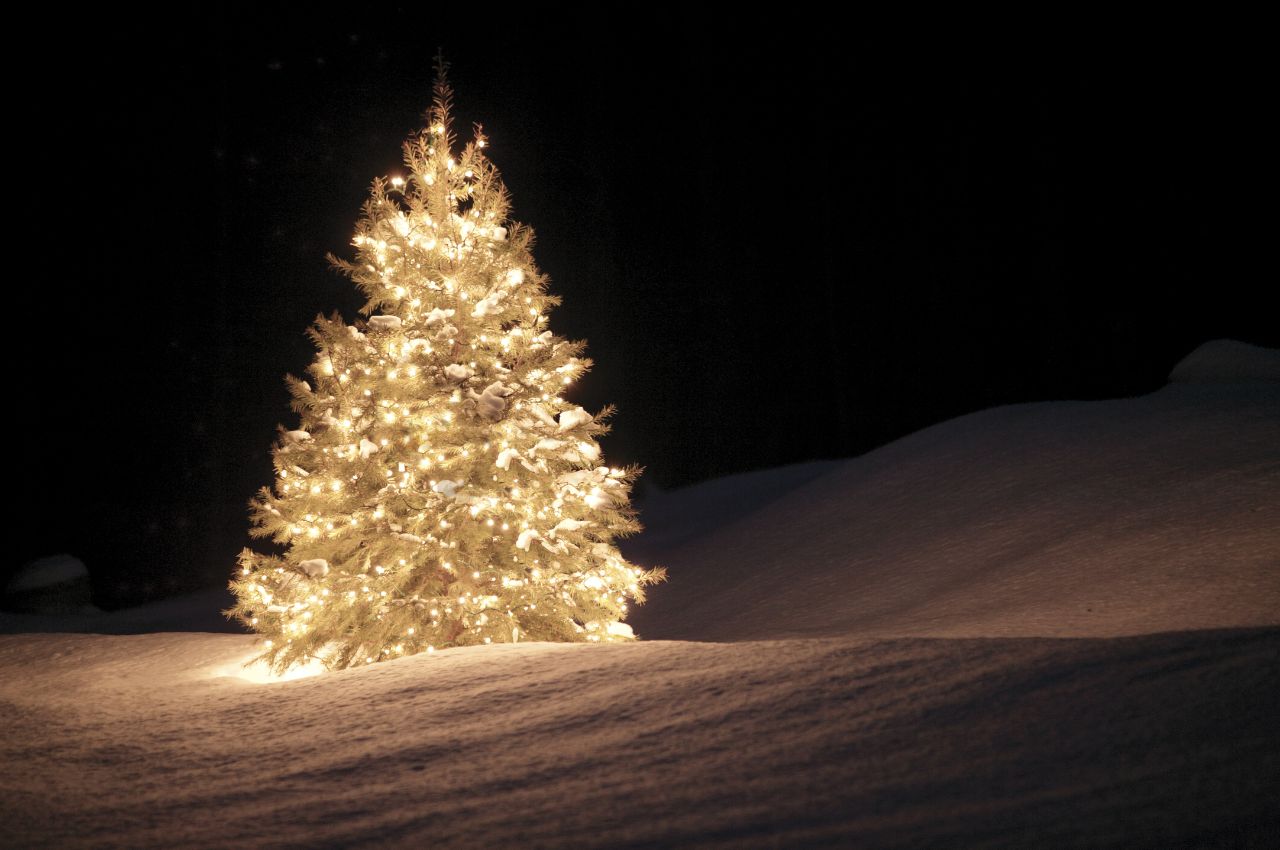Einsamer, illuminierter Weihnachtsbaum im Schnee
