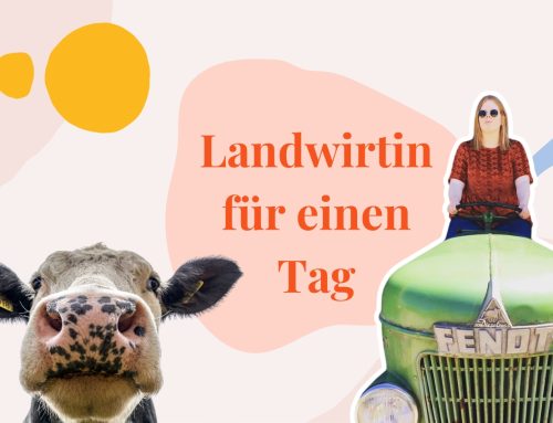 Zwischen Lämmern, Kälbern, Kühen – und ganz viel Kuhfladen